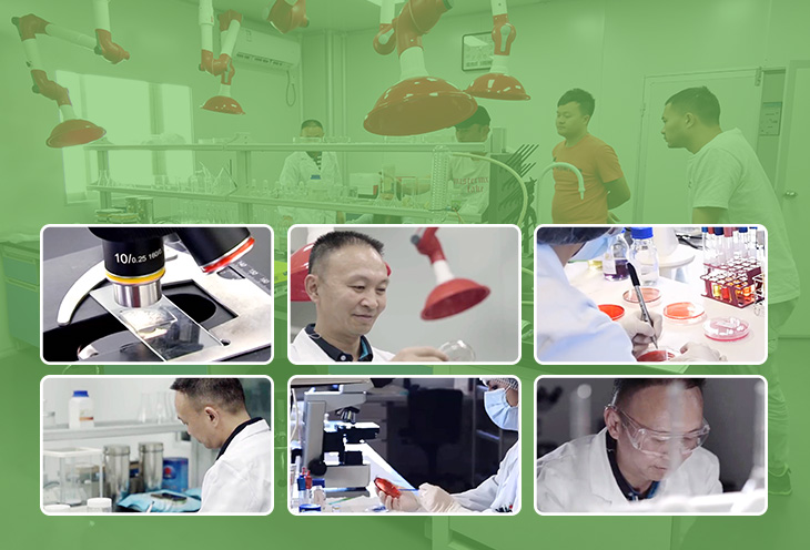 如何選擇質(zhì)量好的防霉片呢？